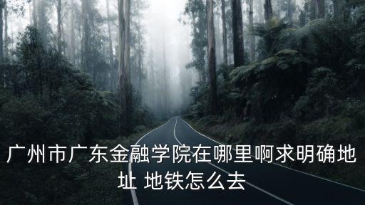 廣東金融學院地址，廣東金融學院在哪里啊