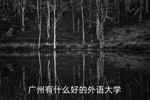 廣州有什么好的外語大學