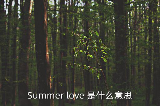 Summer love 是什么意思