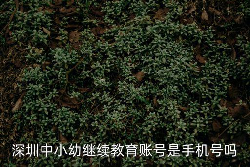 深圳教師繼續(xù)教育，深圳教師公開(kāi)招聘承認(rèn)網(wǎng)絡(luò)教育學(xué)歷嗎