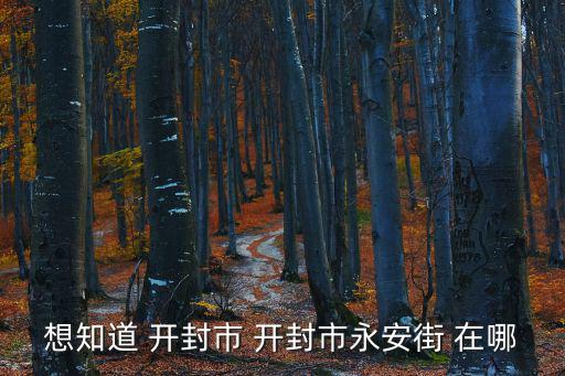 想知道 開封市 開封市永安街 在哪
