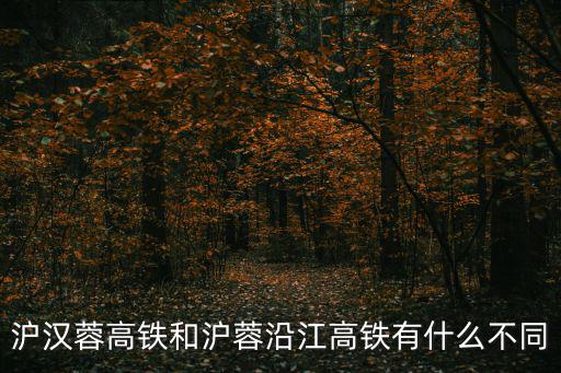 滬漢蓉高鐵和滬蓉沿江高鐵有什么不同