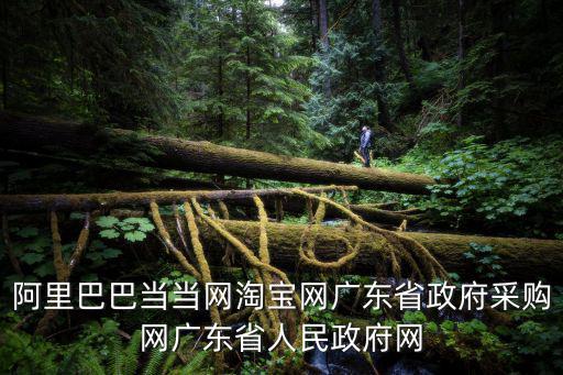 阿里巴巴當(dāng)當(dāng)網(wǎng)淘寶網(wǎng)廣東省政府采購網(wǎng)廣東省人民政府網(wǎng)