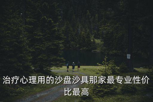 治療心理用的沙盤沙具那家最專業(yè)性價(jià)比最高