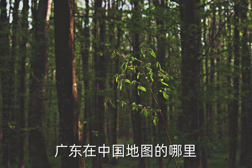 廣東在中國地圖的哪里