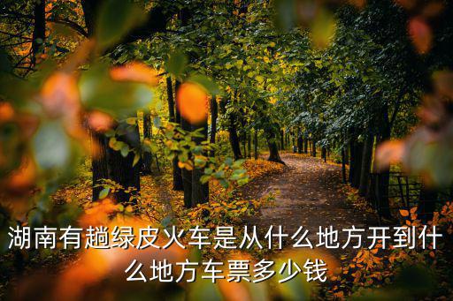 湖南有趟綠皮火車是從什么地方開到什么地方車票多少錢