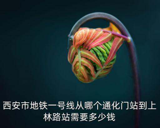 西安市地鐵一號(hào)線從哪個(gè)通化門站到上林路站需要多少錢