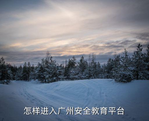 怎樣進(jìn)入廣州安全教育平臺(tái)