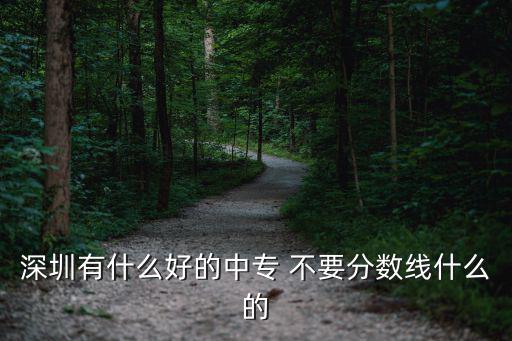 深圳有什么好的中專 不要分?jǐn)?shù)線什么的