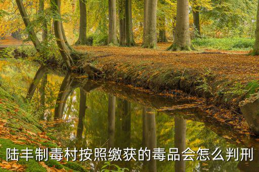 陸豐制毒村按照繳獲的毒品會怎么判刑