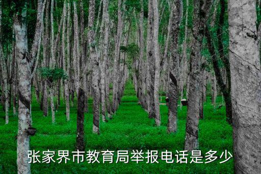 張家界市教育局舉報(bào)電話是多少