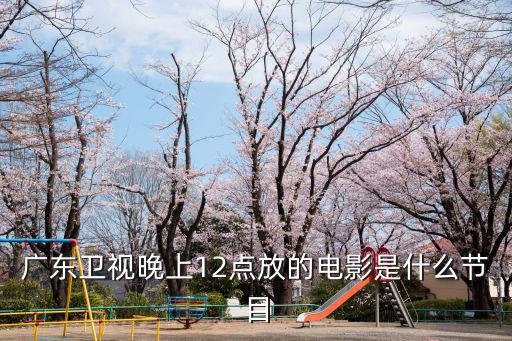 廣東衛視晚上12點放的電影是什么節目