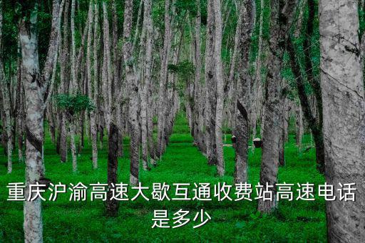 收費站電話怎么查，重慶滬渝高速大歇互通收費站高速電話是多少