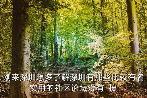 奧一深圳，剛來(lái)深圳想多了解深圳有那些比較有名實(shí)用的社區(qū)論壇沒(méi)有  搜