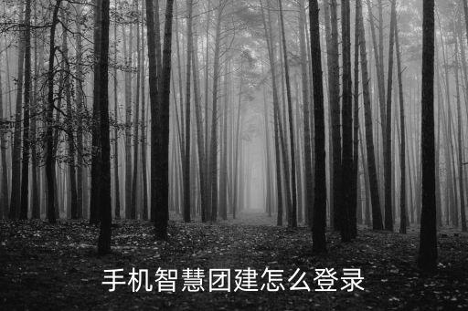 智慧團(tuán)建官網(wǎng)手機(jī)登錄入口，智慧團(tuán)建平板能登陸嗎