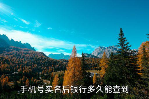 手機號實名后銀行多久能查到