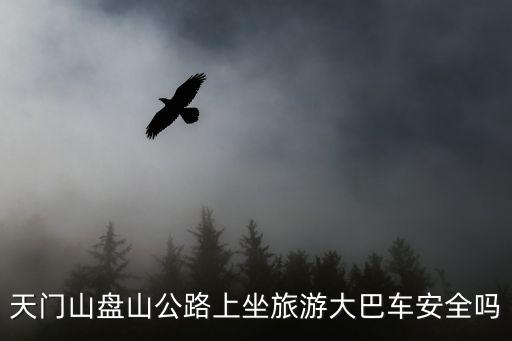 天門山盤山公路上坐旅游大巴車安全嗎