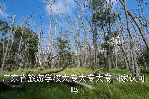 廣東省旅游學校大專大專大專國家認可嗎