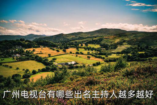廣州電視臺有哪些出名主持人越多越好