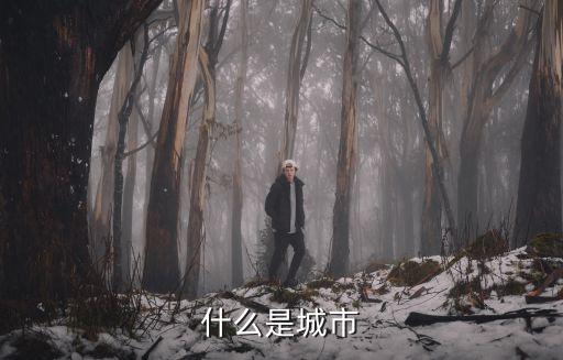 什么是城市