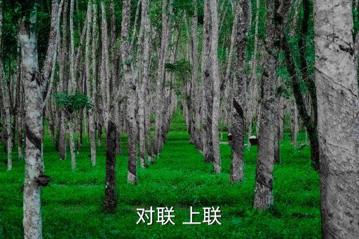 對(duì)聯(lián) 上聯(lián)