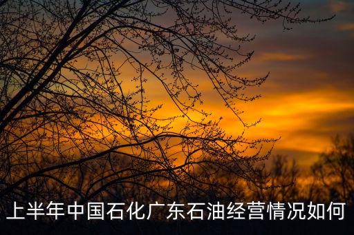 上半年中國石化廣東石油經營情況如何