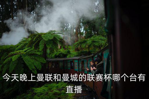 今天晚上曼聯(lián)和曼城的聯(lián)賽杯哪個臺有直播