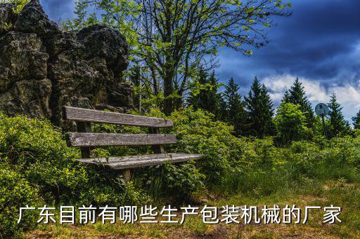 廣東目前有哪些生產包裝機械的廠家