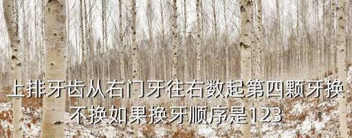 乳牙換牙順序圖，小孩換牙的時間