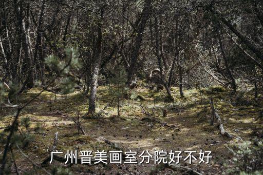 廣州晉美畫(huà)室分院好不好
