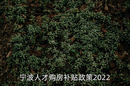 人才購房補貼，寧波人才購房補貼政策2022