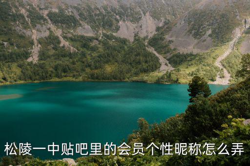 松陵一中貼吧里的會員個性昵稱怎么弄
