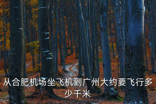從合肥機(jī)場(chǎng)坐飛機(jī)到廣州大約要飛行多少千米