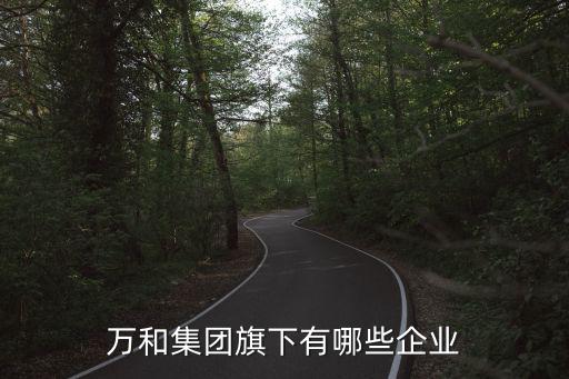 萬和集團旗下有哪些企業