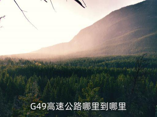 g49，G49是什么意思