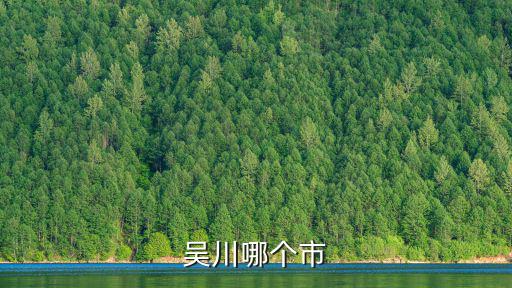 吳川哪個市