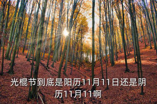 光棍節(jié)是幾月幾號，光棍節(jié)到底是陽歷11月11日還是陰歷11月11啊