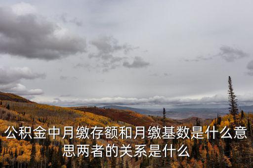 公積金中月繳存額和月繳基數(shù)是什么意思兩者的關(guān)系是什么