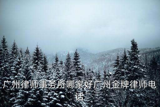 廣州律師事務所哪家好廣州金牌律師電話