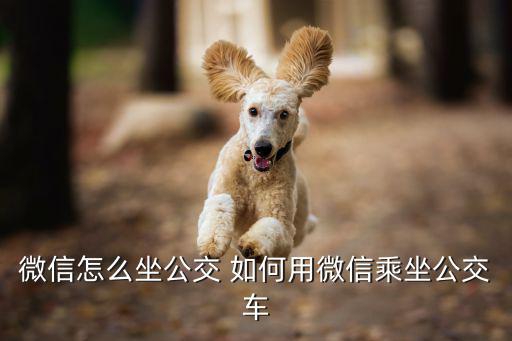 怎么坐公交，怎么坐公交車