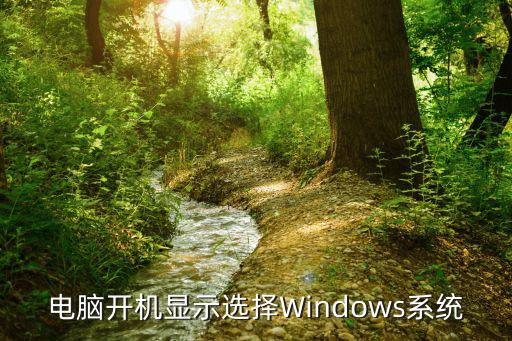 選擇系統，電腦開機顯示選擇Windows系統
