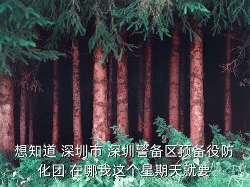 想知道 深圳市 深圳警備區預備役防化團 在哪我這個星期天就要