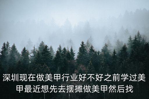 深圳現(xiàn)在做美甲行業(yè)好不好之前學(xué)過(guò)美甲最近想先去擺攤做美甲然后找