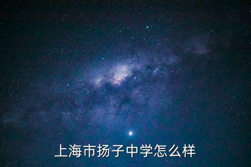 揚子中學，上海市揚子中學怎么樣