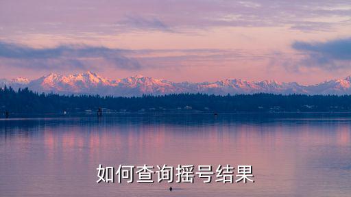 小汽車搖號系統(tǒng)，深圳小汽車搖號未中簽第二個月如何轉為競價