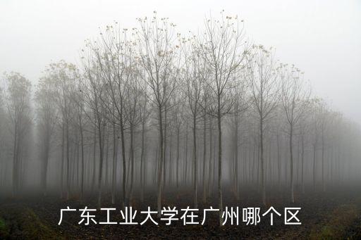 廣東工業大學在廣州哪個區