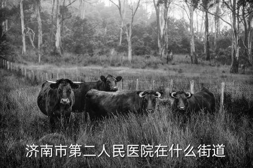濟南市第二人民醫院在什么街道