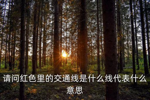 請問紅色里的交通線是什么線代表什么意思