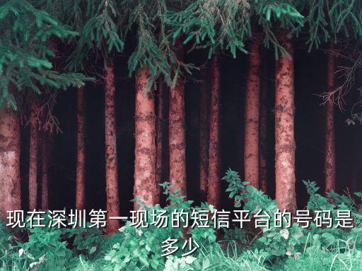 現在深圳第一現場的短信平臺的號碼是多少