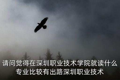 請問覺得在深圳職業(yè)技術學院就讀什么專業(yè)比較有出路深圳職業(yè)技術